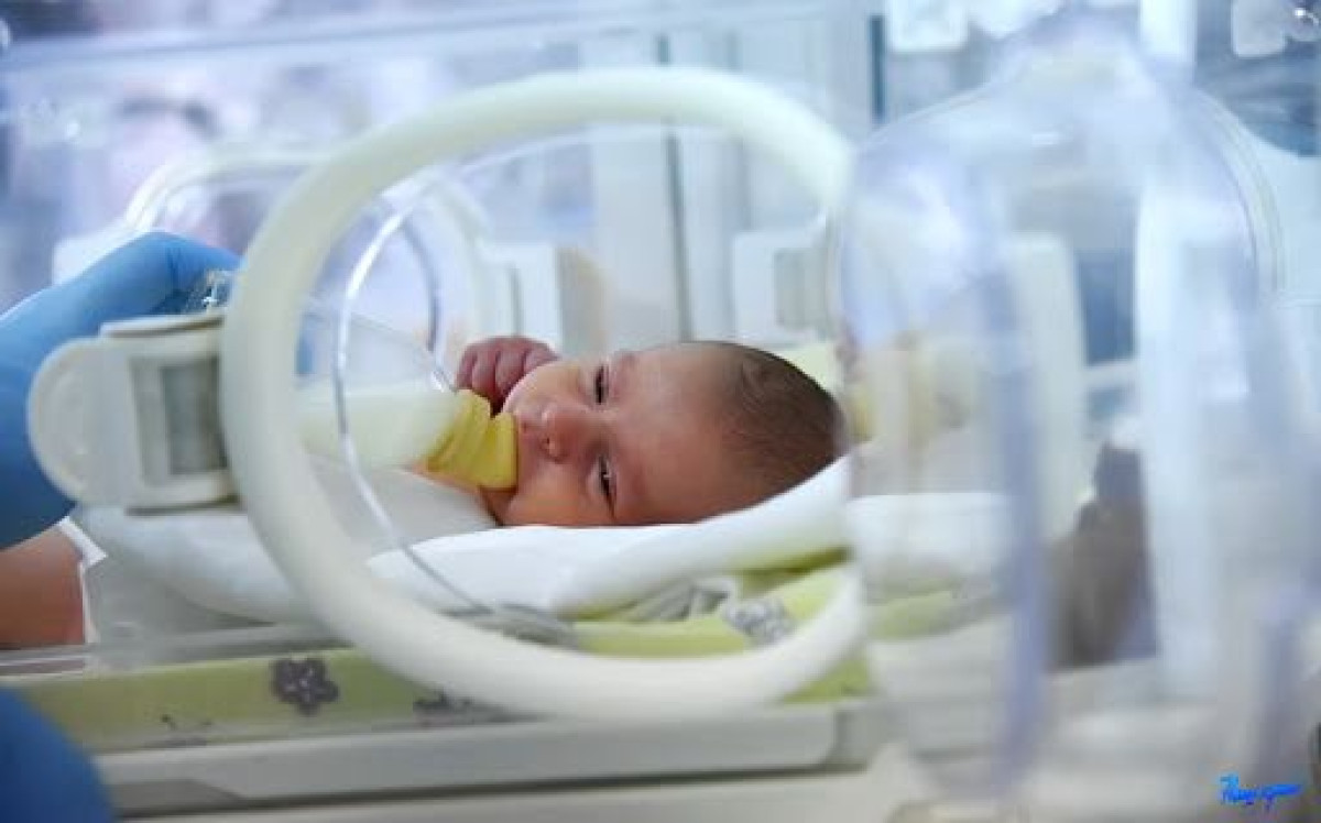 из открытых источников