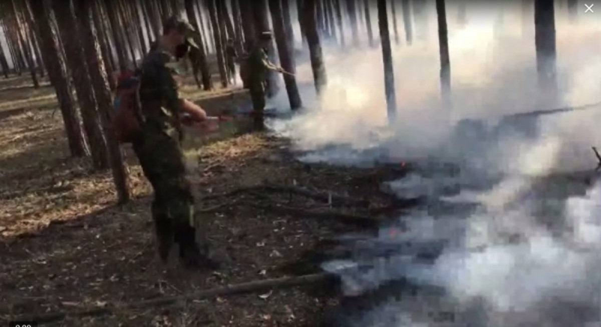 Снимки из космоса показали масштабы лесного пожара в резервате "Семей орманы"
