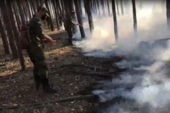 Фотография к новости: Снимки из космоса показали масштабы лесного пожара в резервате "Семей орманы"