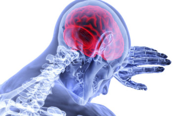 Фотография к новости: COVID-19 проникает в мозг некоторых пациентов