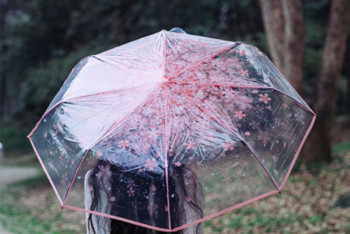 Фотография к новости: Дожди и похолодание продолжатся в Казахстане до конца месяца