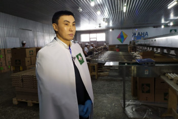 "Без субсидий мы банкроты" - костанайские птицеводы обратились за помощью к Токаеву