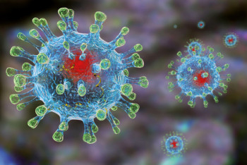 Фотография к новости: Причину высокого уровня заражения коронавирусом назвали ученые