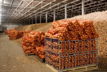 Фотография к новости: Пять оптово-распределительных центров сельхозпродукции построят в Казахстане в этом году