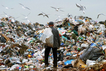 Фотография к новости: Девушка случайно выбросила на помойку подаренный ей конверт с деньгами