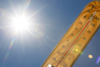 Фотография к новости: Появилась новая глобальная угроза 2020 года