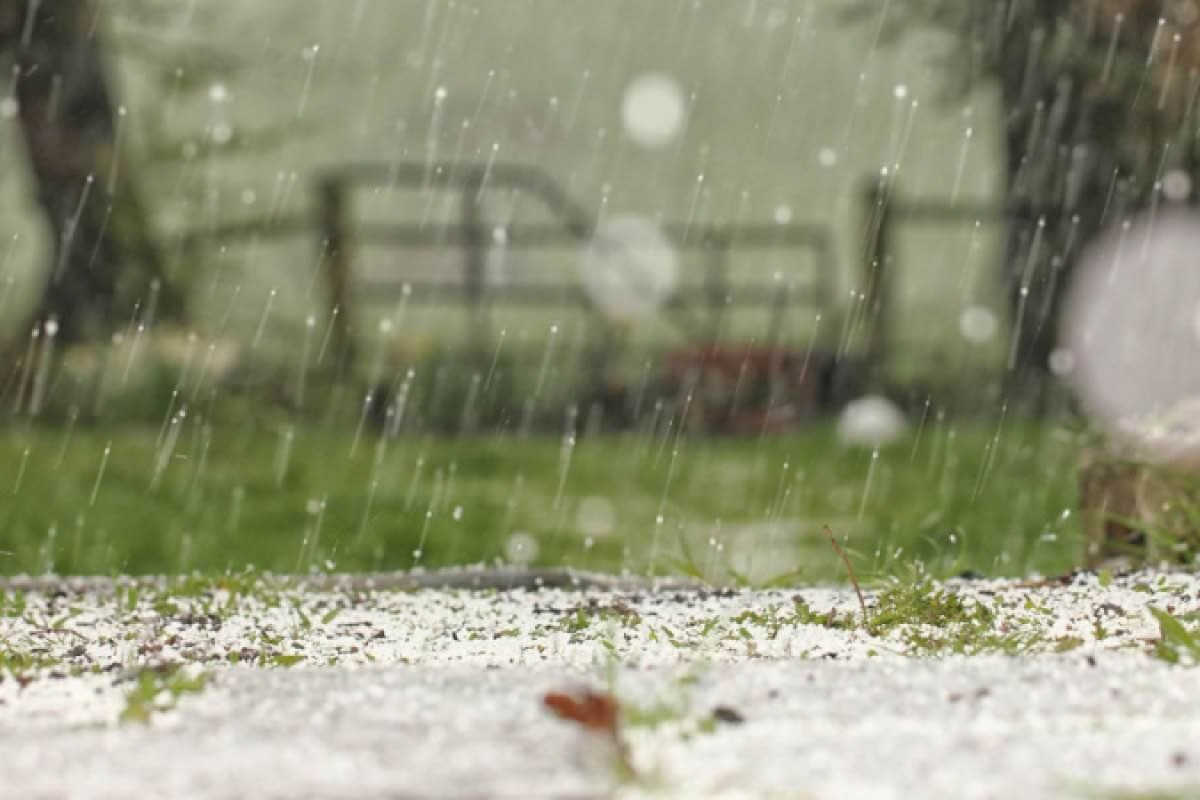 иллюстративное 