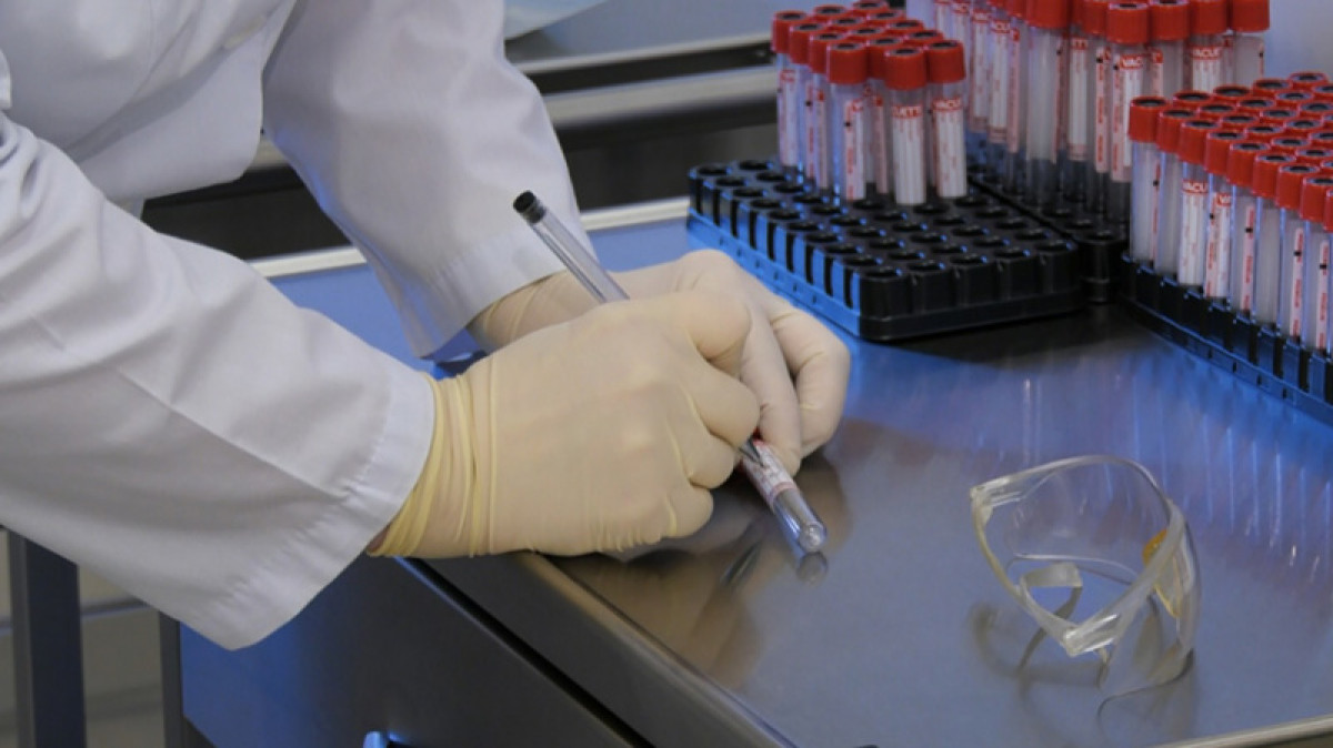 иллюстративное