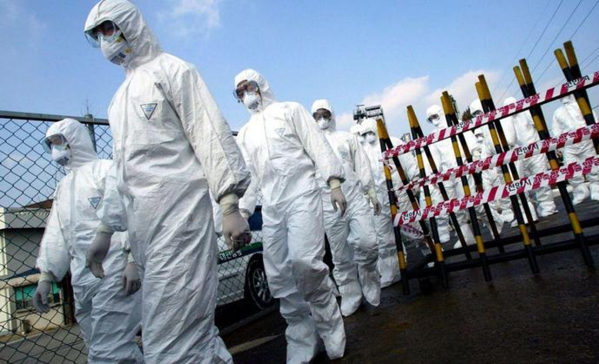 иллюстративное