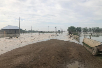 Фотография к новости: Токаев поручил помочь пострадавшим при подтоплении семьям в Туркестанской области