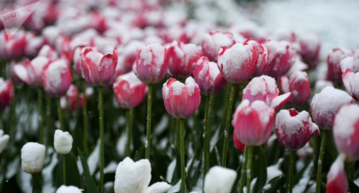 Дождь со снегом и заморозки ожидаются в ряде областей Казахстана