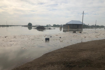 Фотография к новости: Еще один поселок затопило в Мактааральском районе