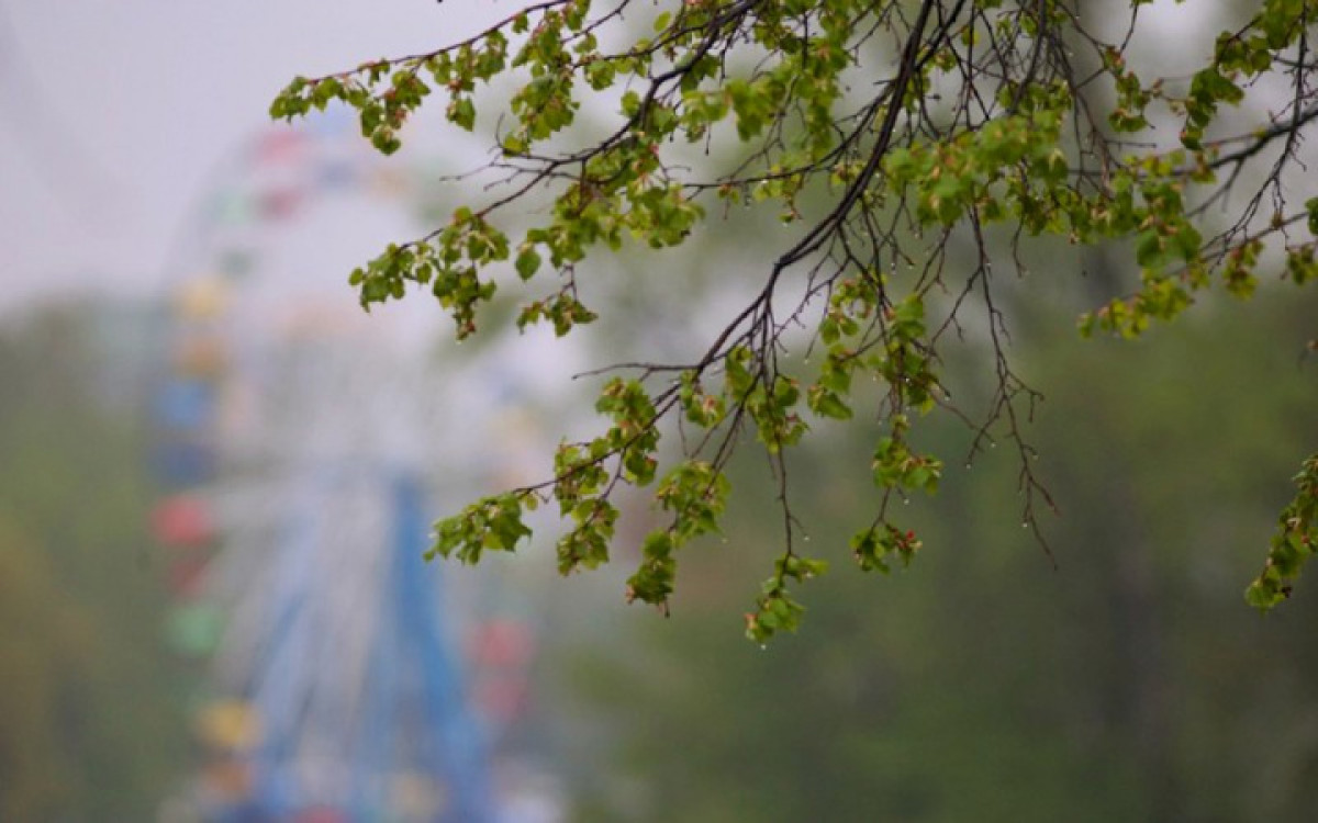 иллюстративное