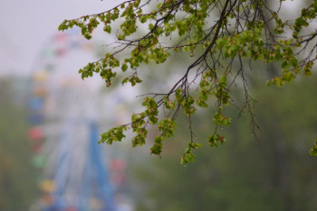 Фотография к новости: Какая погода ждет казахстанцев 4 мая