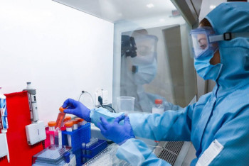 Фотография к новости: Канадские ученые нашли антитела, которые помогут создать лекарство для лечения коронавируса