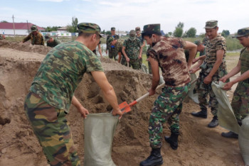 Фотография к новости: Трехкилометровую дамбу возводят в населенных пунктах Туркестанской области