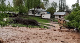 Вода разрушила 845 домов в Туркестанской области из-за прорыва дамбы в Узбекистане