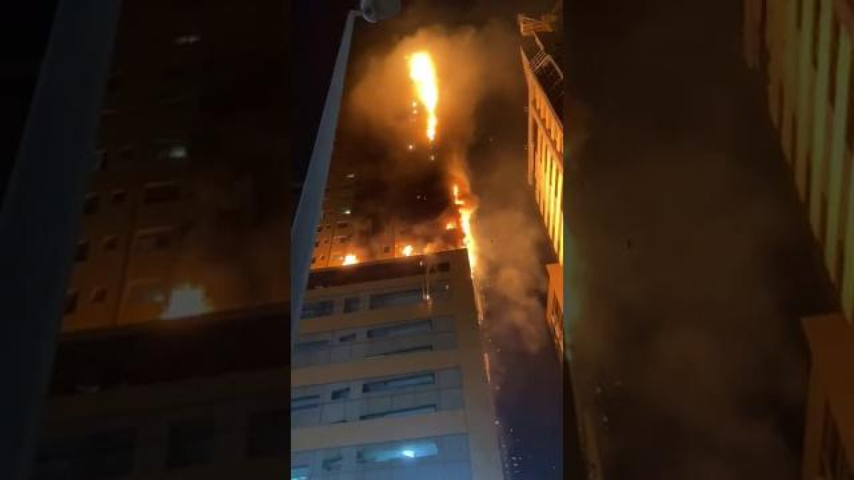 кадр из видео 
