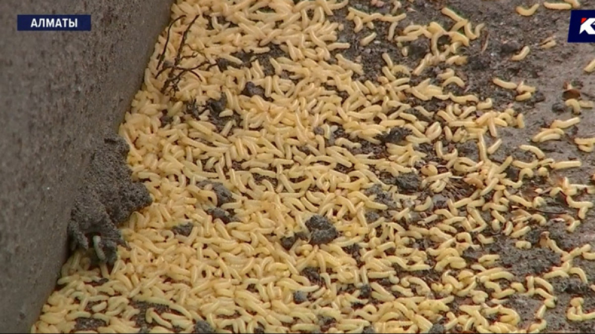 кадр из видео