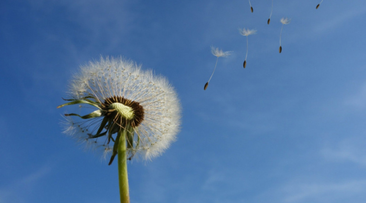 Иллюстративное: pixabay