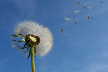 Фотография к новости: Какой будет погода в праздничные дни в Казахстане