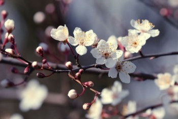 Фотография к новости: Солнечная погода ожидает казахстанцев 7 мая