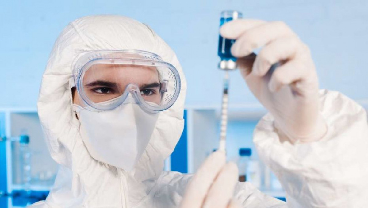 иллюстративное