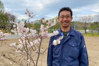 Фотография к новости: Новый сорт сакуры "Нур-Султан" вывели в Японии