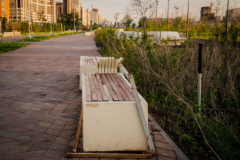 Фотография к новости: Замечание за плохой вид парка получил районный аким в Нур-Султане