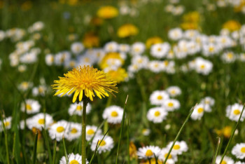 Фотография к новости: Какая погода ожидается в Казахстане 14 мая