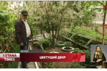 Фотография к новости: Фруктовый сад вырастили во дворе многоэтажки в Актобе