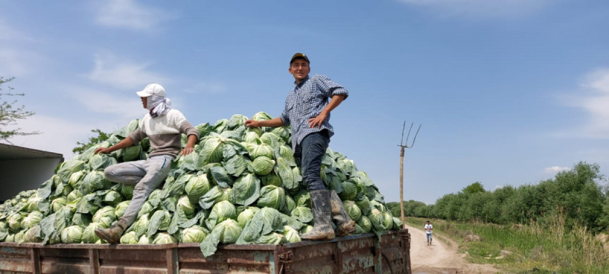 пресс-служба акима Туркестанской области