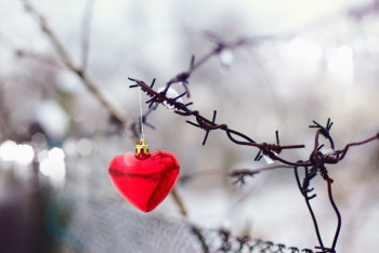 Фотография к новости: Онлайн-свадьбу сыграли в колонии сторогого режима в Семее