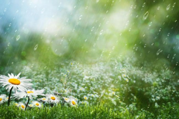 Фотография к новости: Из-за угрозы коронавируса не будут работать детские лагеря в Алматы