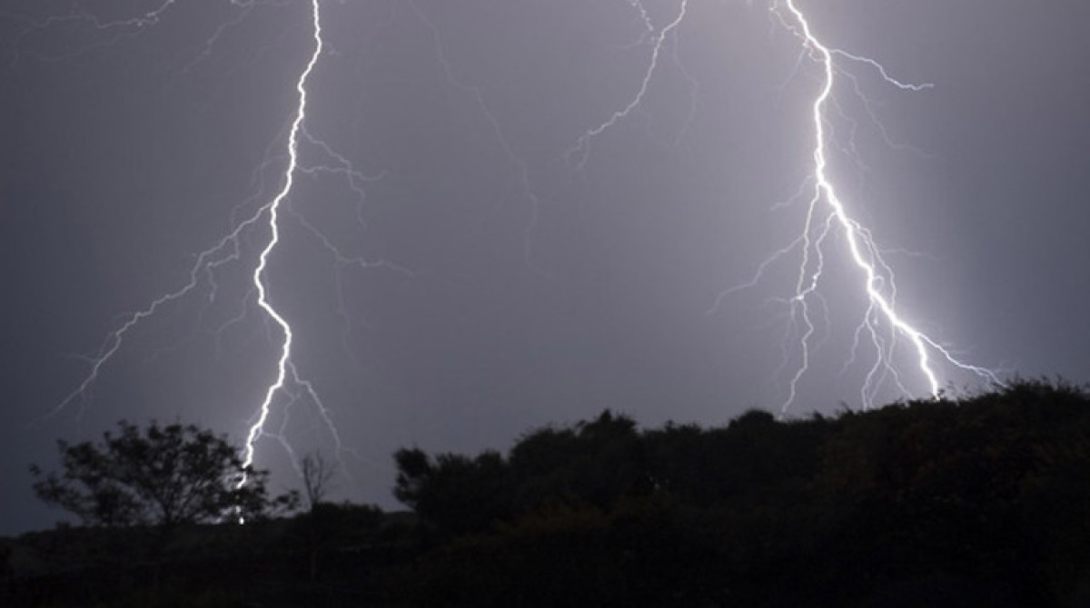 иллюстративное