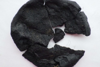 Фотография к новости: Подгоревший пирог первого века нашей эры нашли археологи во Франции