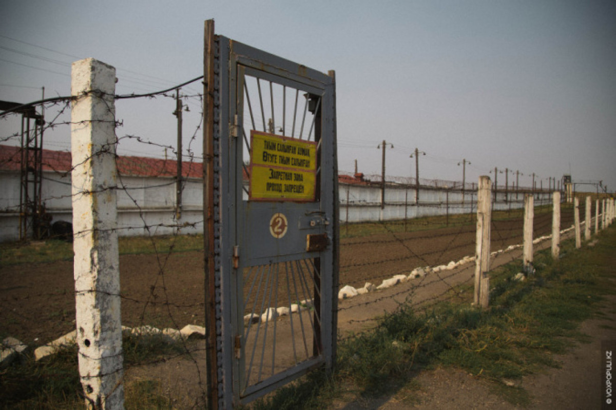 иллюстративное