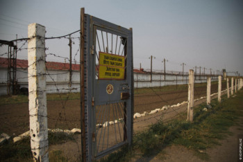 Фотография к новости: Ситуацию с заболевшими COVID-19 сотрудниками колонии для пожизненно лишенных свободы прокомментировала Бюрабекова