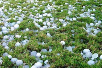 Фотография к новости: Миллионные убытки нанес град фермерам Туркестанской области