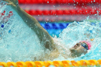 Фотография к новости: ЧМ по плаванию на короткой воде перенесен на 2021 год