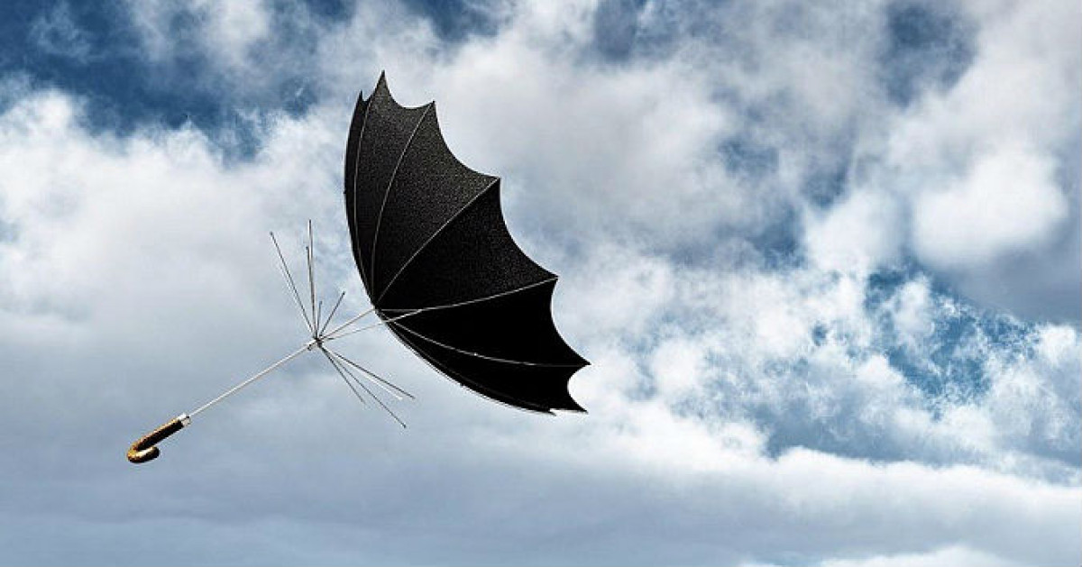 иллюстративное