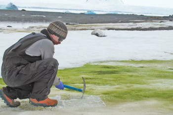 Фотография к новости: "Зеленый снег" обнаружен на Антарктиде