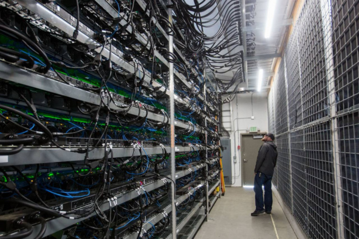 Три крупных IT-проекта реализуют в Павлодарской области