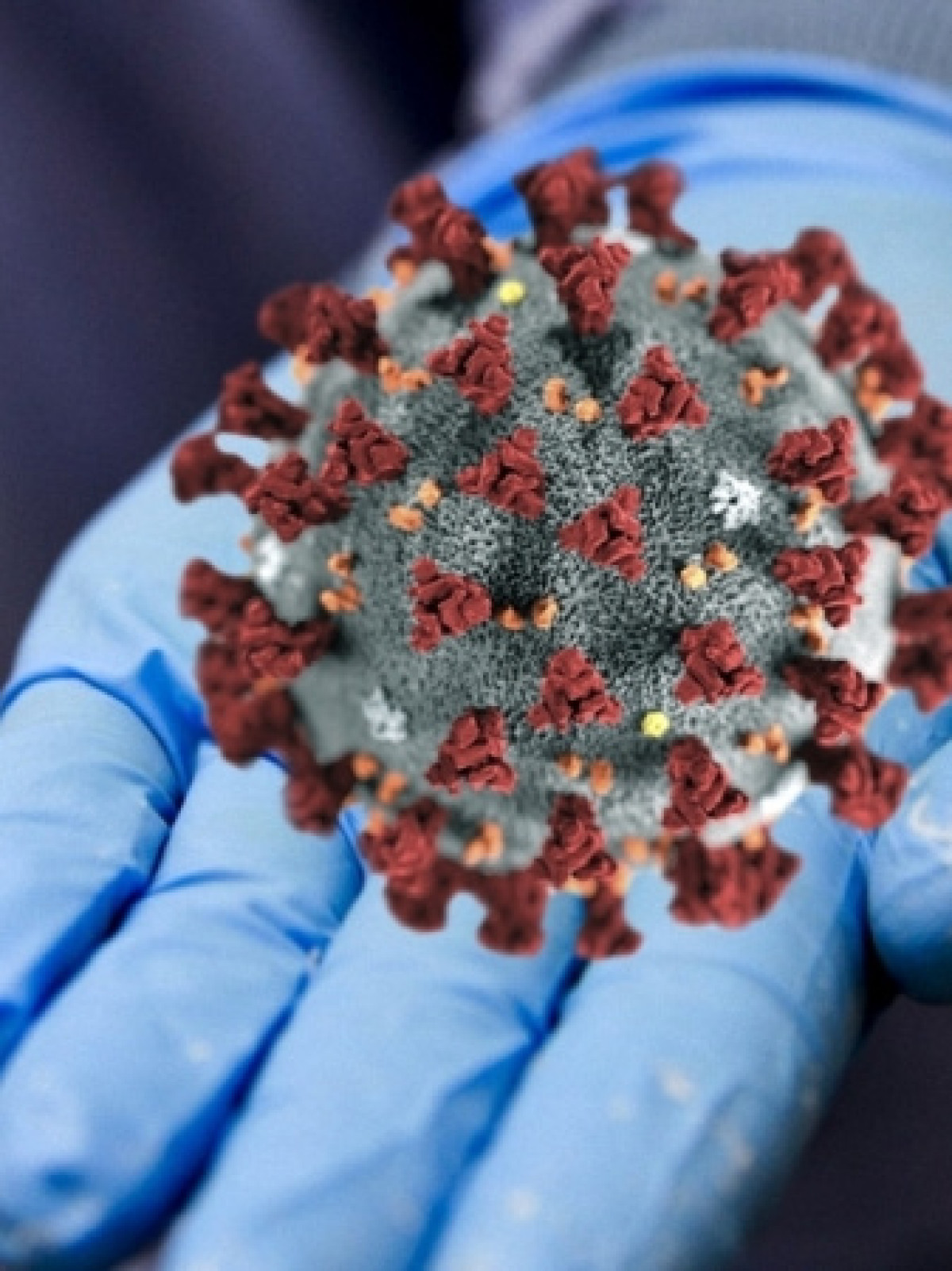 Выявлено 28 новых случаев COVID-19 в ЗКО