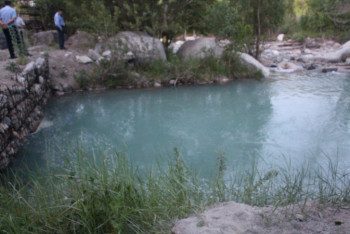 Фотография к новости: Подозреваемый в уничтожении более 8500 особей форели задержан в Талгаре