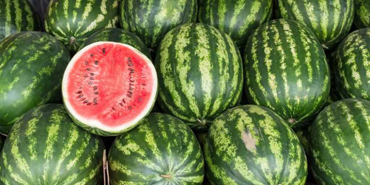 иллюстративное