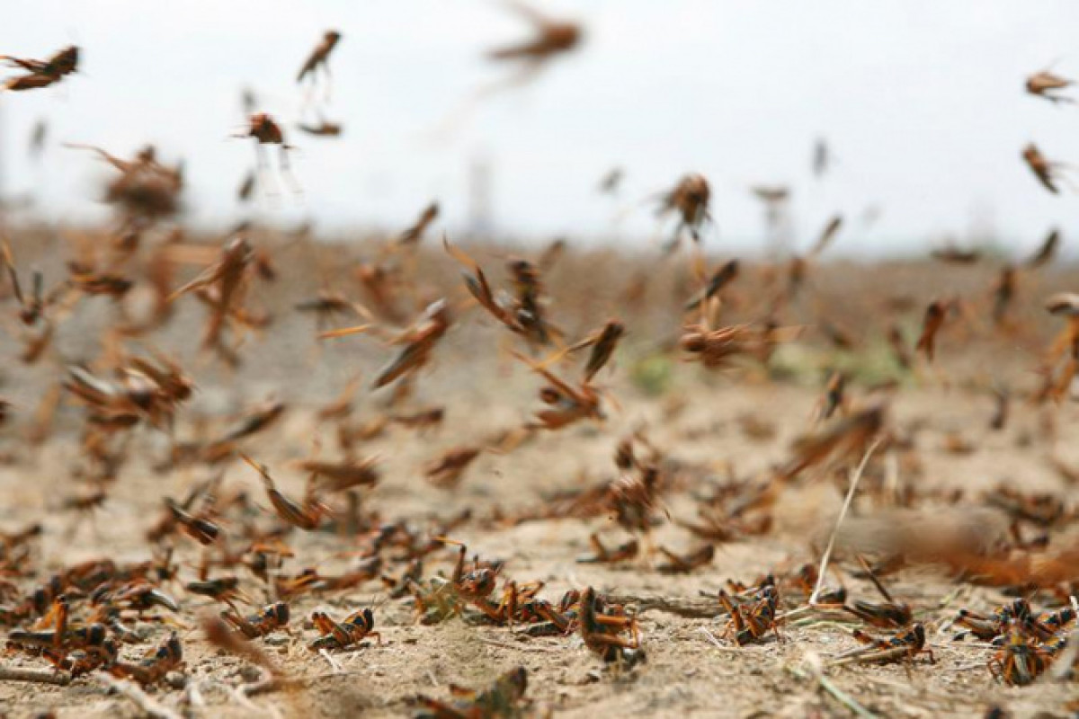 Иллюстративное: КазИнформ