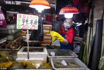 Фотография к новости: У животных с рынка Уханя не было COVID-19 – версию происхождения вируса опровергли в Китае