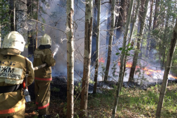 Фотография к новости: В резервате "Семей орманы" вновь горел лес