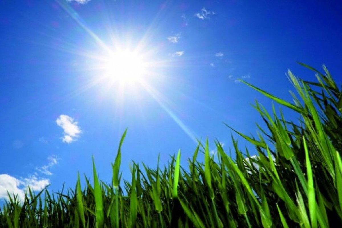 иллюстративное 